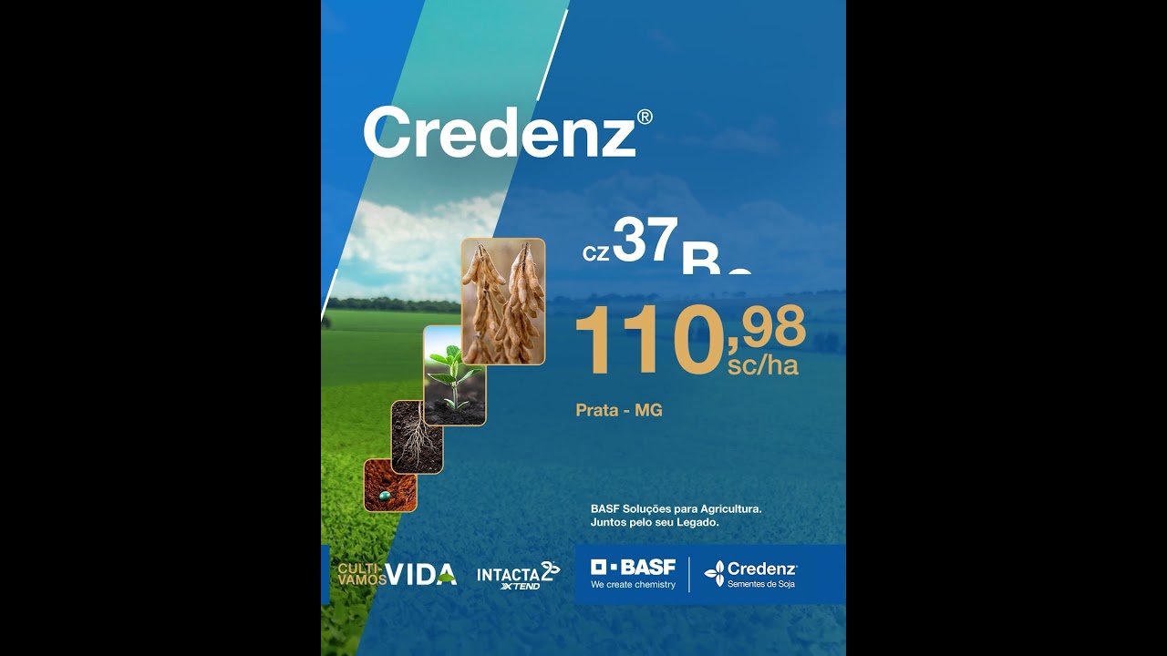 CZ 58B44 e CZ 47B91: Destaques Credenz® em Goiás