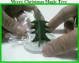 Merry Christmas Magic Tree Grow Flowers