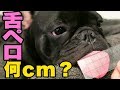 YouTube 動画ポップアップ再生