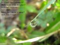 Johanna Guorun Jonsdottir - Is it true - with lyrics