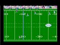 Tecmo Bowl - Tony Romo Touchdown to Patrick Crayton