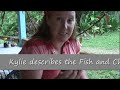 Tropicaina Bar and Grill Tropicaina Bar and Grill