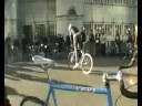 skid vicious