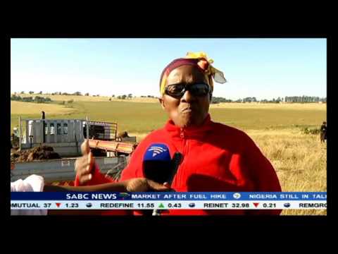 A community in the Eastern Cape is at odds with each other over mining