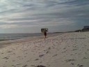 Gone with the Wind