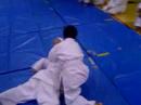 Triggered Salute w/ arm bar 7