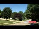 Shade Trees