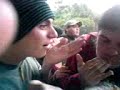 ataske de zabor 3