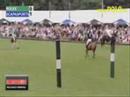 Amsterdam Polo