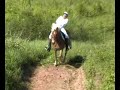 Out of control pony ride Out of control pony ride
