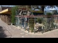 Gaza zoo features mummified animals