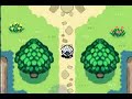 How to evolve