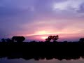 The Sunset Magic