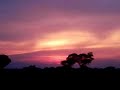 The Sunset Magic