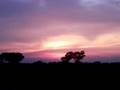 Atardecer Sunset