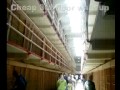 Alcatraz with my N93