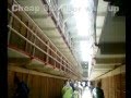 Alcatraz with my N93