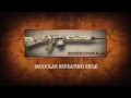 R-25 Modular Repeating Rifle by Remington