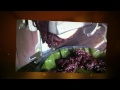 Click here to watch this video Making Chocolate In Costa Rica