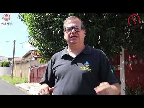 mogi-mirim-contra-a-dengue