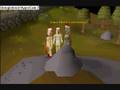 videos de runescape: chickens for thanksgiving! ftw