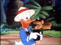 donald duck   clown of the jungle