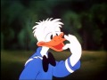 donald duck   clown of the jungle