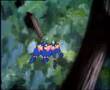 Donald Duck - Clown Of The Jungle