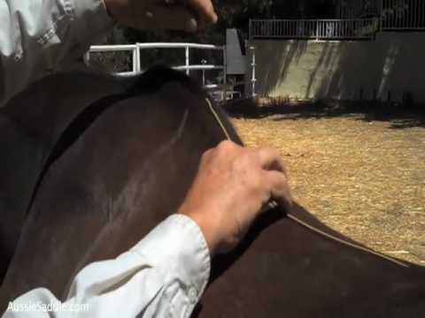 how to measure a horse for a saddle