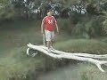 la caida de edgar version JURASSIC PARK