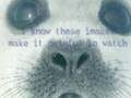 Song to the Siren : a Baby Seal Story 