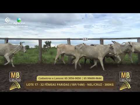 543� LEIL�O VIRTUAL MB LEIL�ES