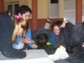 Amplifica tu voz - Solidaridad 2008.wmv