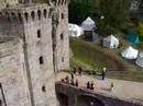 Raglan Castle panorama