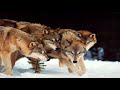 La Bande Magn�tik - L\