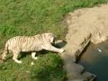 红山动物园
