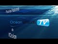 videos voile