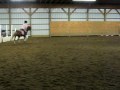 Spanky 2' course