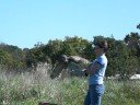 Raptor Release
