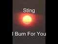 Video screenshot