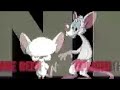 pinky and brain