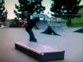 The Skateboard The Skateboard