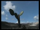 The Green Conquest