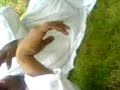 laxmi pooja videos