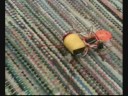 Tiny 16F84 Quadruped Robot