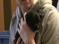 videos de Orphaned puppies - the first four weeks