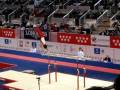 Yosuke Hoshi Artistic Gymnastics World Cup Final 2008, 1st part. (fell)