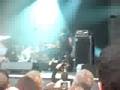 BB brunes terre blanche