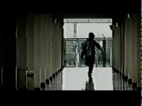 Ver video