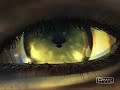 Final Fantasy/KH2 One Step Closer AMV Final Fantasy/KH2 One Step Closer AMV